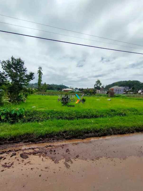 dijual cepat tanah daerah pujon batu lokasi strategis