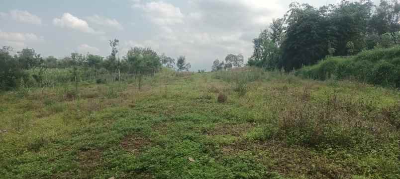 dijual cepat tanah pribadi murah