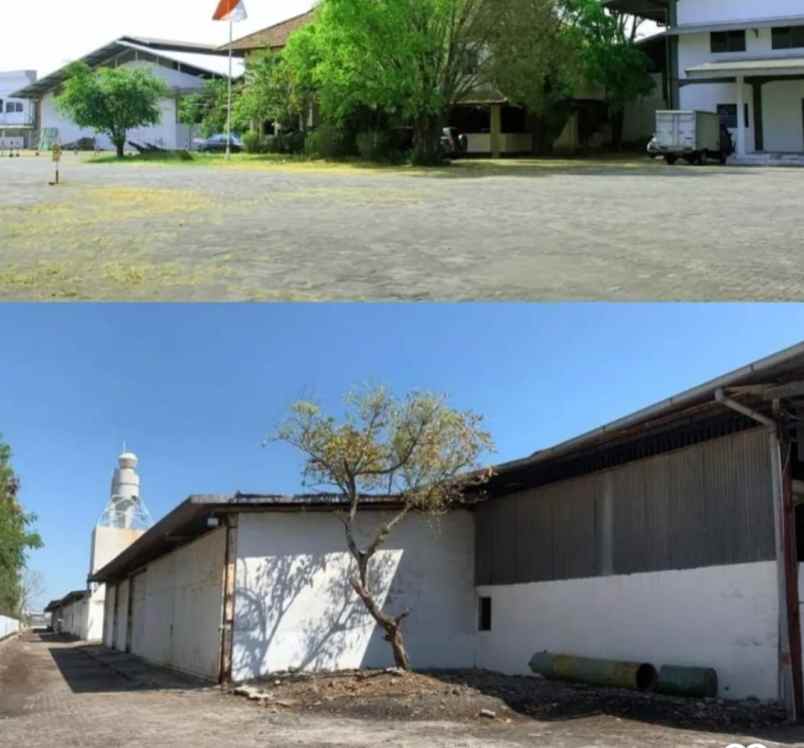 dijual disewakan gudang di sayung demak semarang