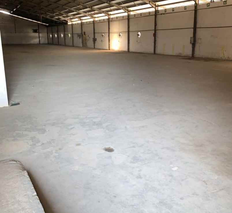 dijual disewakan gudang di sayung demak semarang