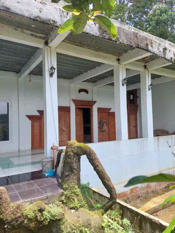 dijual murah 2 unit rumah di parung bogor