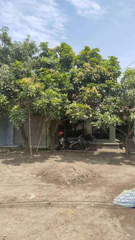 dijual rumah cibatu