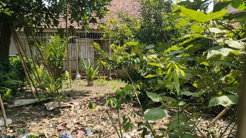 dijual rumah cibatu