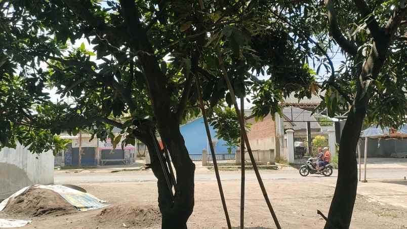 dijual rumah cibatu