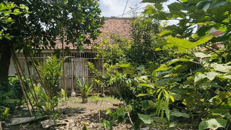 dijual rumah cibatu