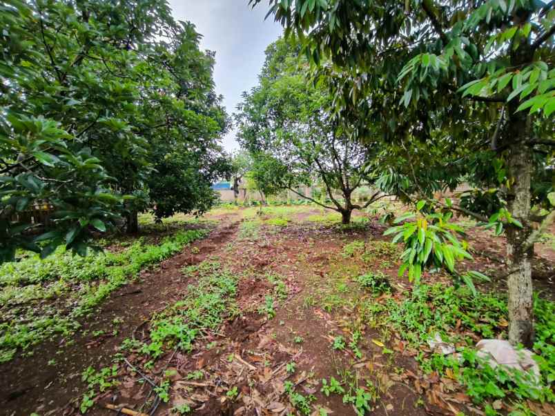 dijual rumah cibeuteung udik ciseeng bogor