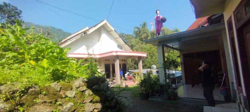 dijual rumah desa trawas kec trawas kab