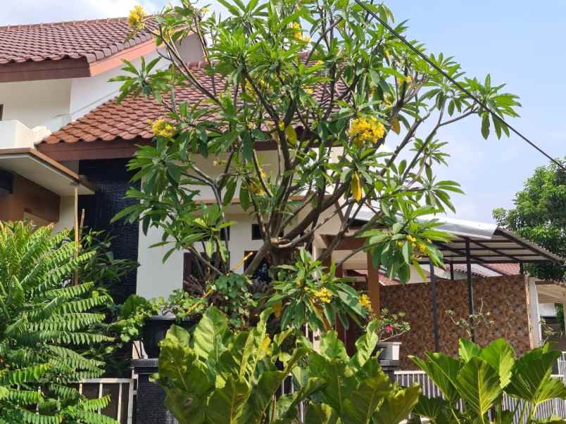 dijual rumah griya bintaro estate