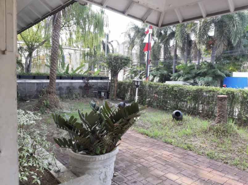 dijual rumah jalan tegal