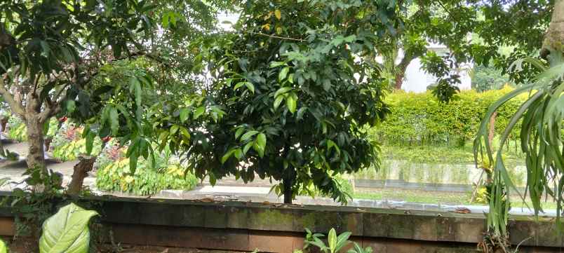 dijual rumah jl bukit pratama raya