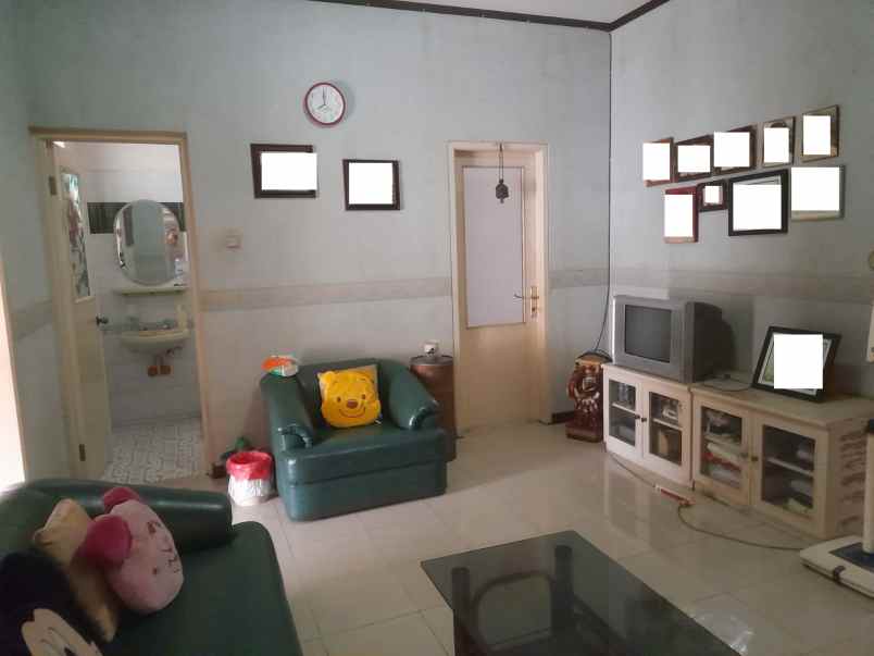 dijual rumah kelapa cengkir kelapa gading