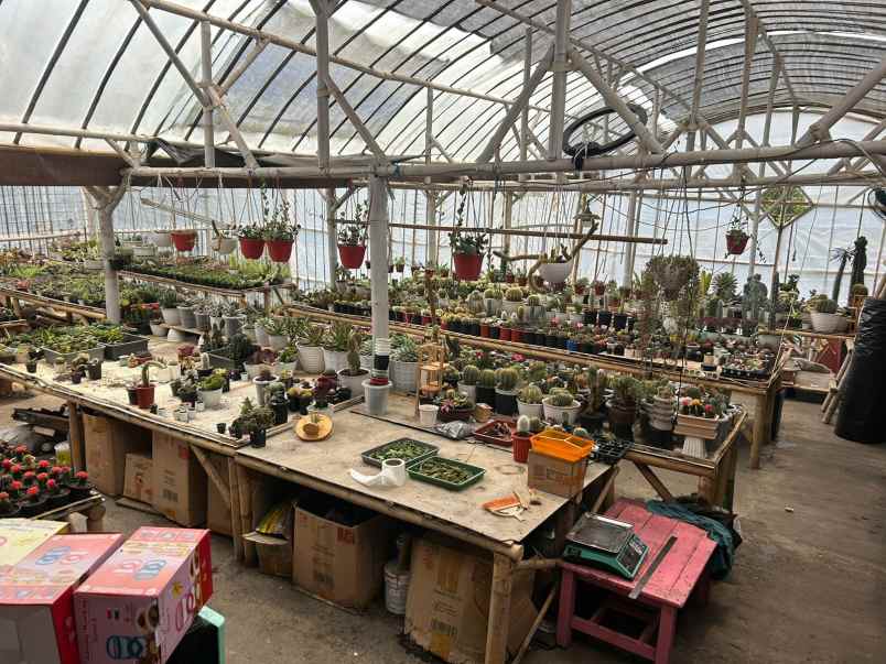 dijual rumah lembang