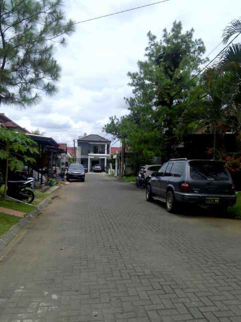 dijual rumah pinus regency