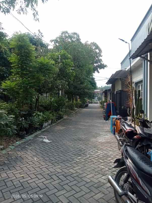 dijual rumah swan menganti park