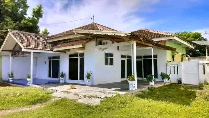 dijual rumah tanah banyuwangi