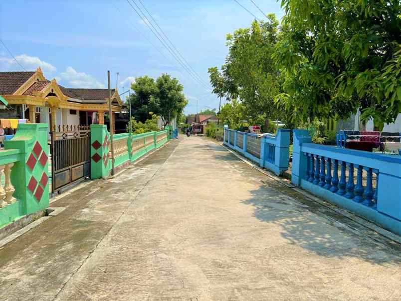 dijual tanah 1050m 200jt kedawung sragen