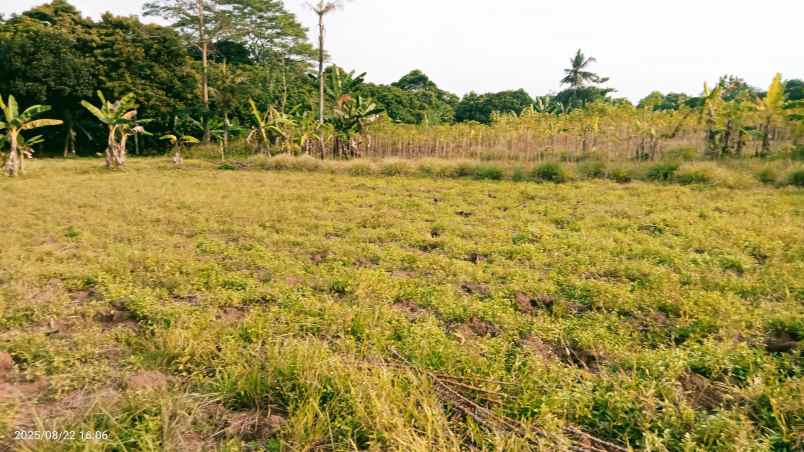 dijual tanah 3303 m2 setu bekasi