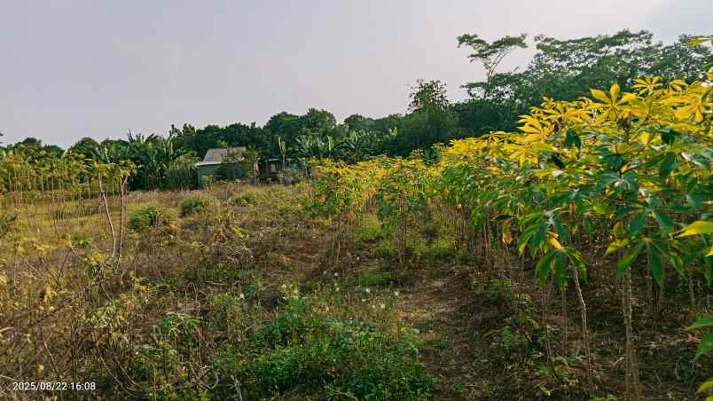 dijual tanah 3303 m2 setu bekasi