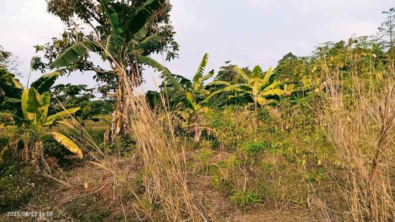 dijual tanah 3303 m2 setu bekasi