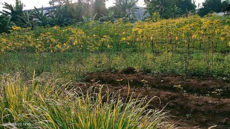 dijual tanah 3303 m2 setu bekasi