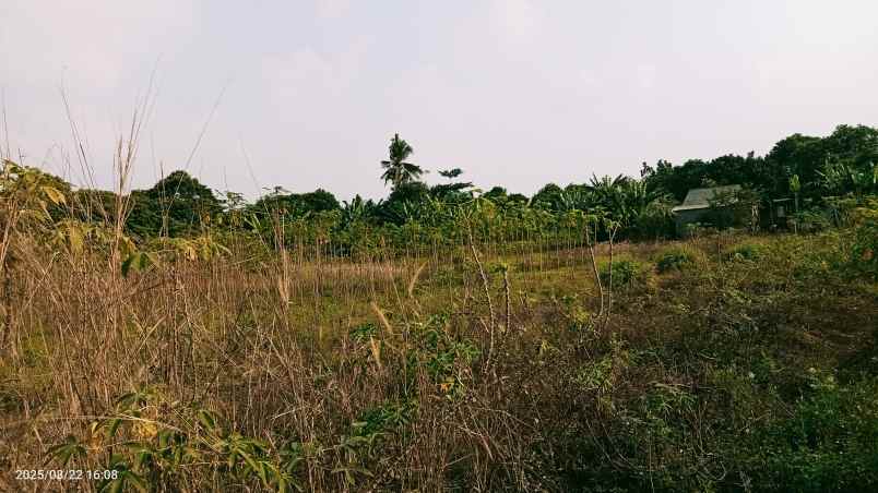 dijual tanah 3303 m2 setu bekasi