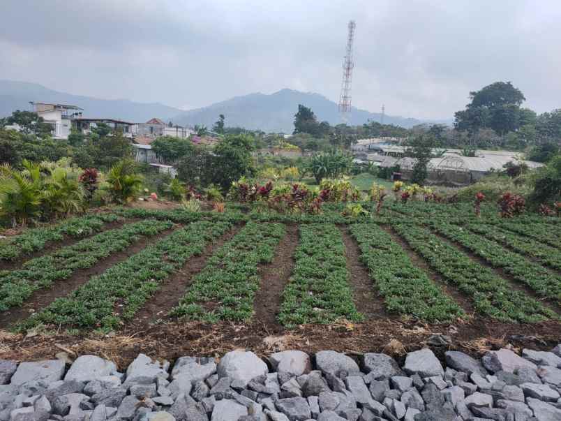 dijual tanah banaran