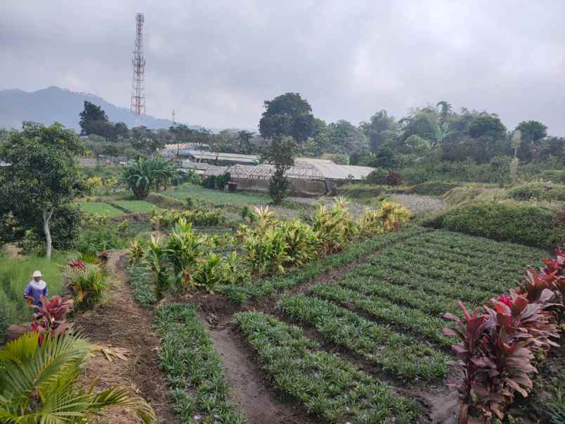 dijual tanah banaran