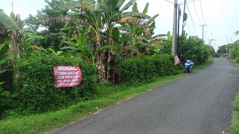 dijual tanah banyu biru negara jembrana bali
