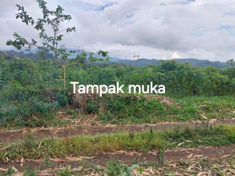 dijual tanah blok camara cigendel