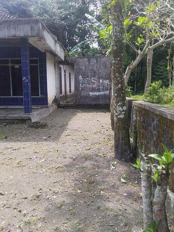 dijual tanah bonus rumah jati jawa tengah jogja