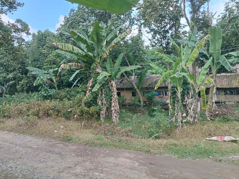 dijual tanah cisalam baros