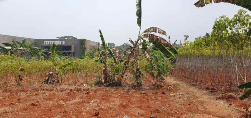 dijual tanah curug gunung sindur bogor