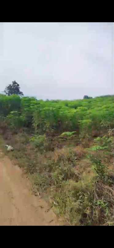 dijual tanah darat dan rata