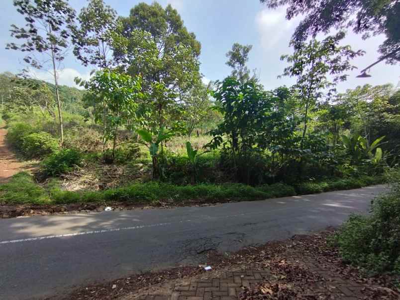 dijual tanah desa belik kec trawas kab