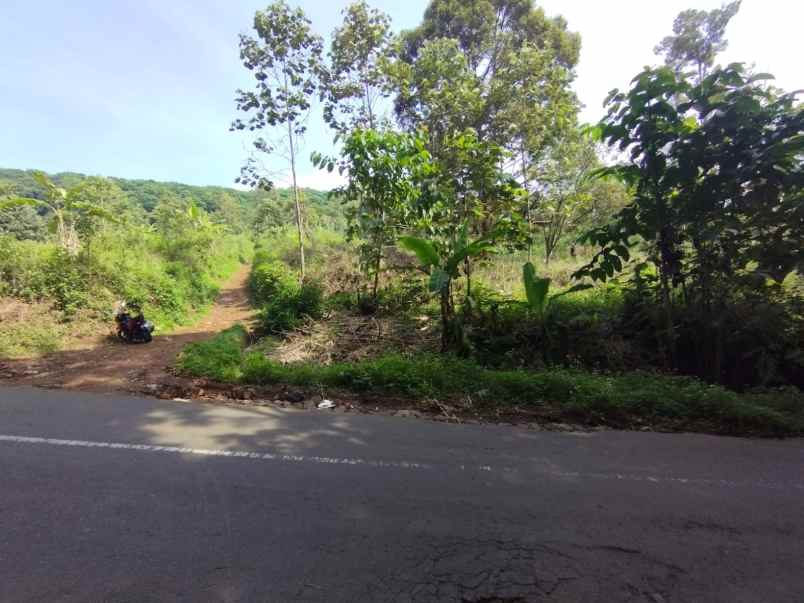 dijual tanah desa belik kec trawas kab