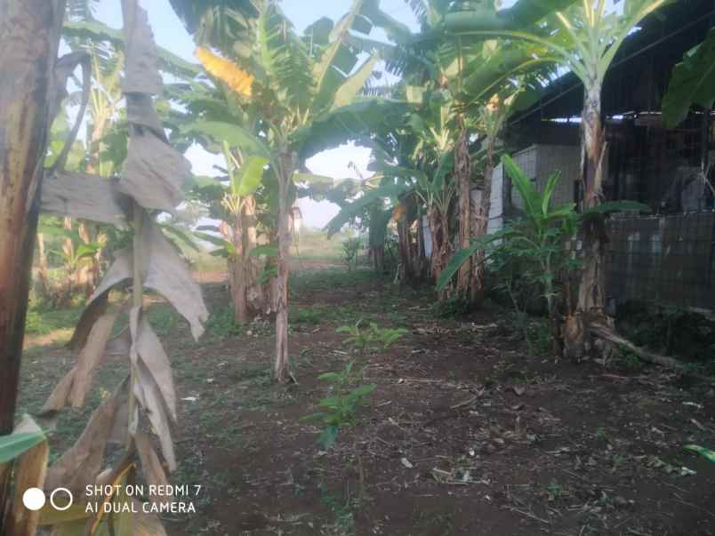 dijual tanah desa cilame kecamatan