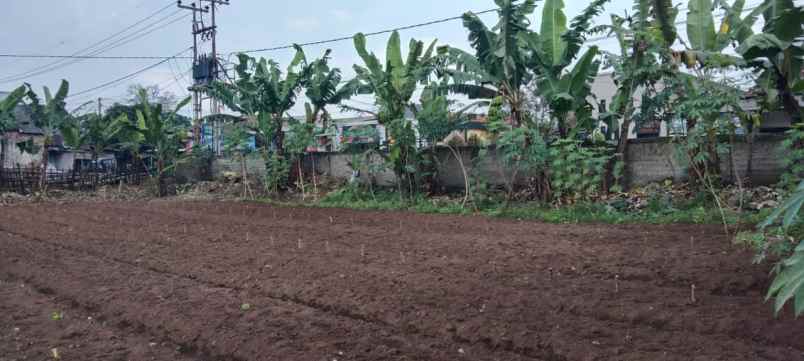 dijual tanah desa galanggang kecamatan