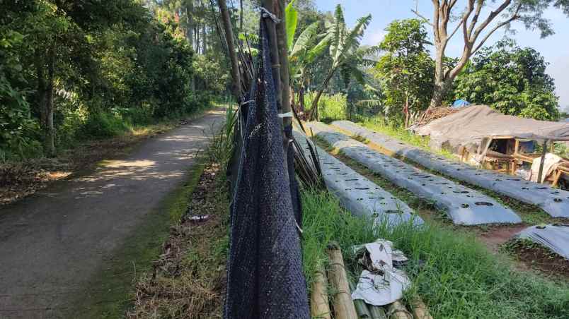 dijual tanah desa mekarwangi kecamatan