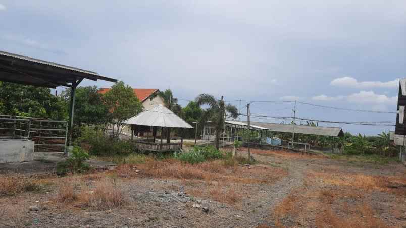 dijual tanah desa windurejo kec