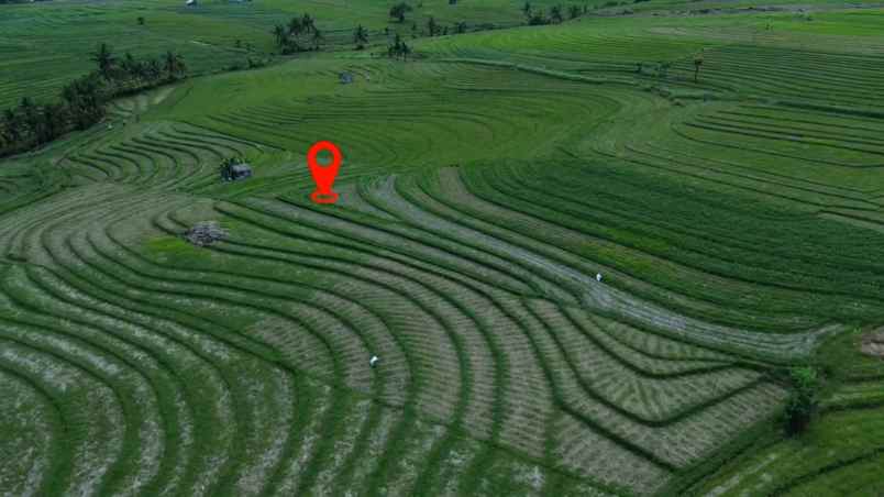 dijual tanah desa wisata tangguntiti