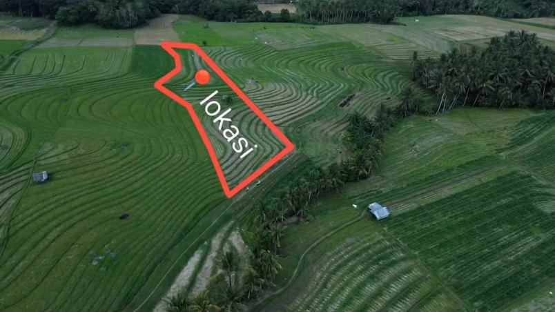 dijual tanah desa wisata tangguntiti