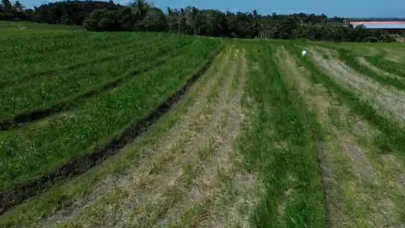 dijual tanah desa wisata tangguntiti