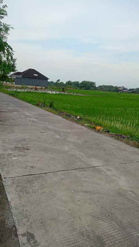 dijual tanah dijual tanah di dusun