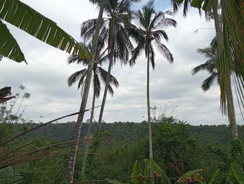 dijual tanah ds lumbung kauh kec