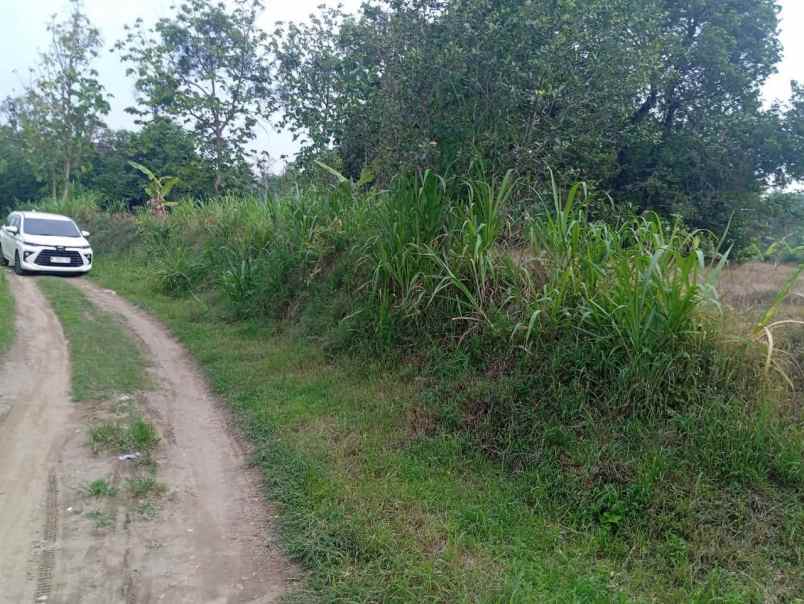 dijual tanah dusun dukuan kidul
