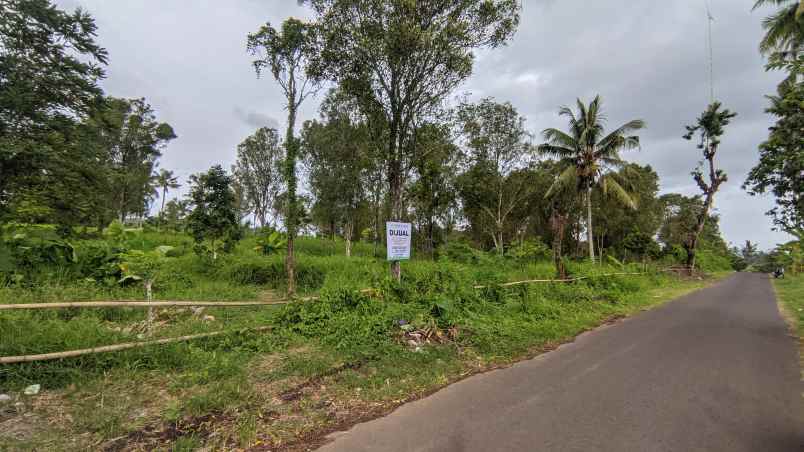 dijual tanah dusun ledok desa jelun kec