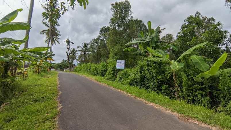 dijual tanah dusun ledok desa jelun kec