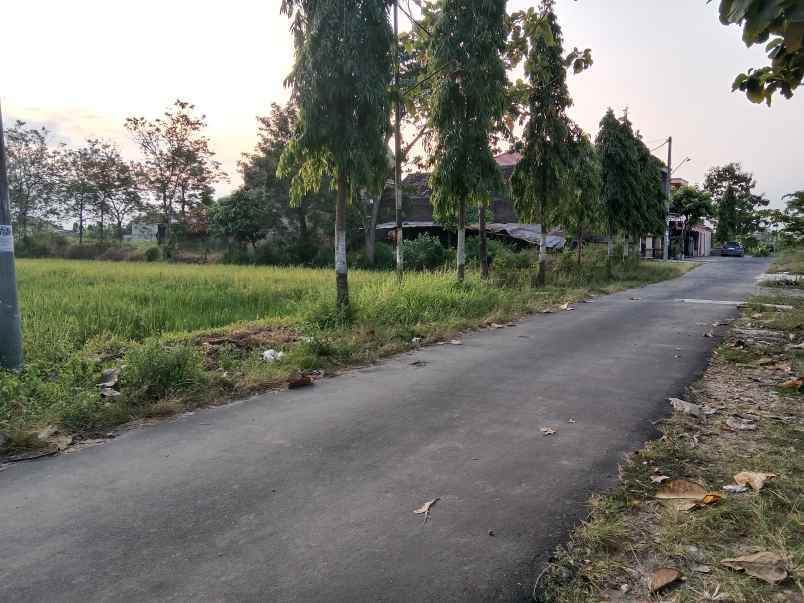 dijual tanah gondang klaten