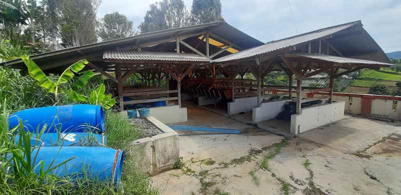 dijual tanah jalan barunagri