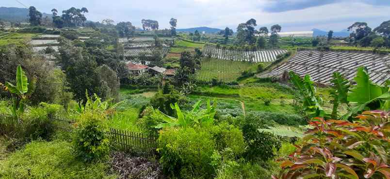 dijual tanah jalan barunagri